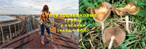 СК Нязепетровск
