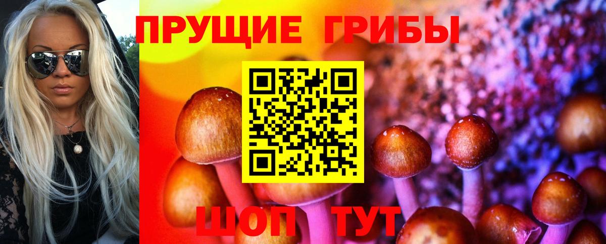 Галлюциногенные грибы мицелий  Вход с VPN  Галлюциногенные грибы Cubensis  Слободской 